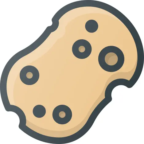 Sponge