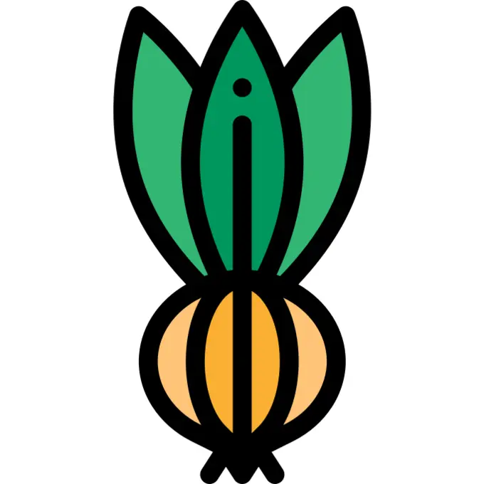 Onion