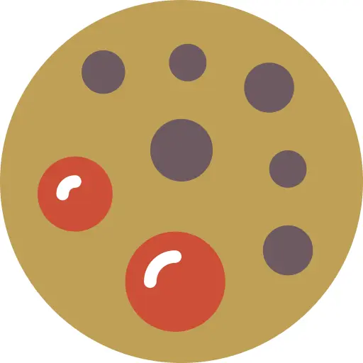 Biscuit
