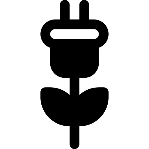 Plug
