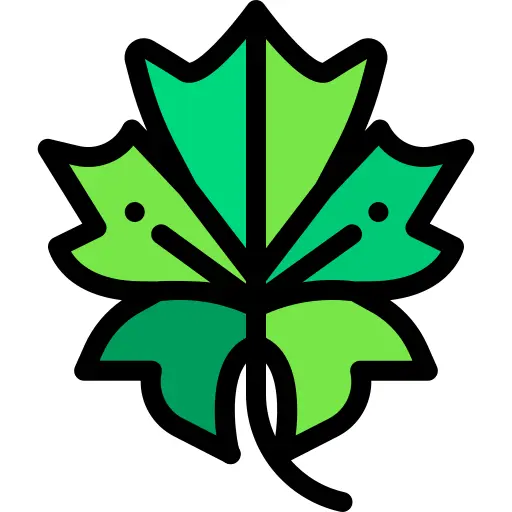 Leaf