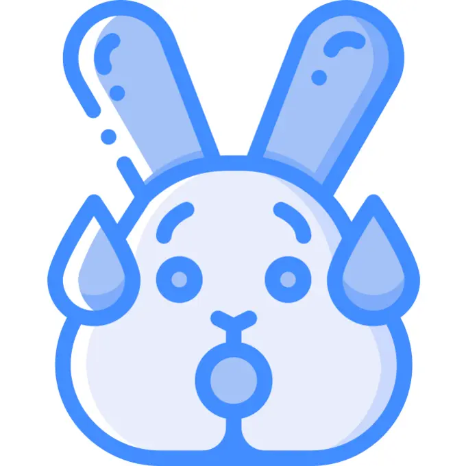 兔子