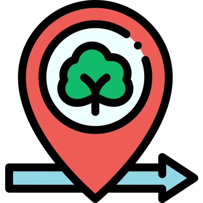 Pin