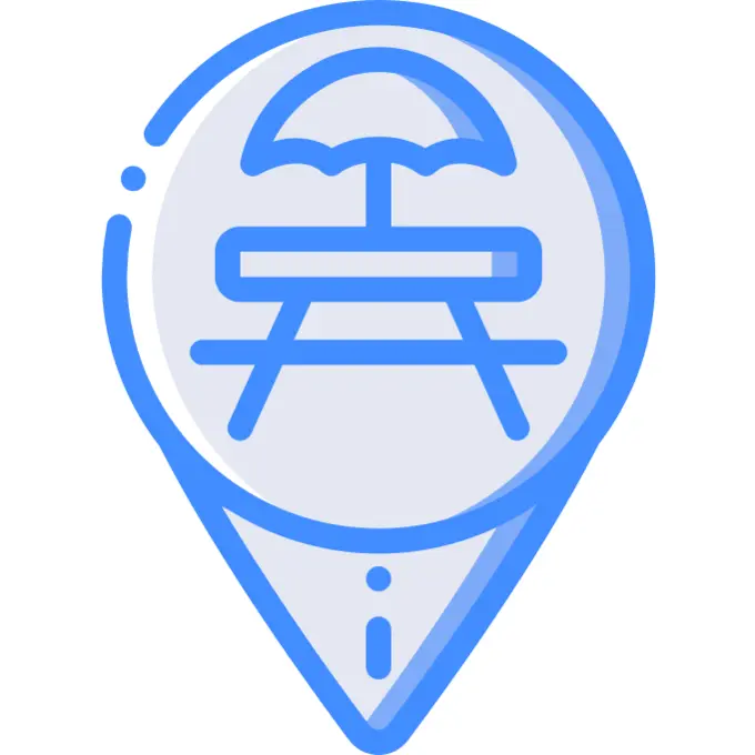Pin