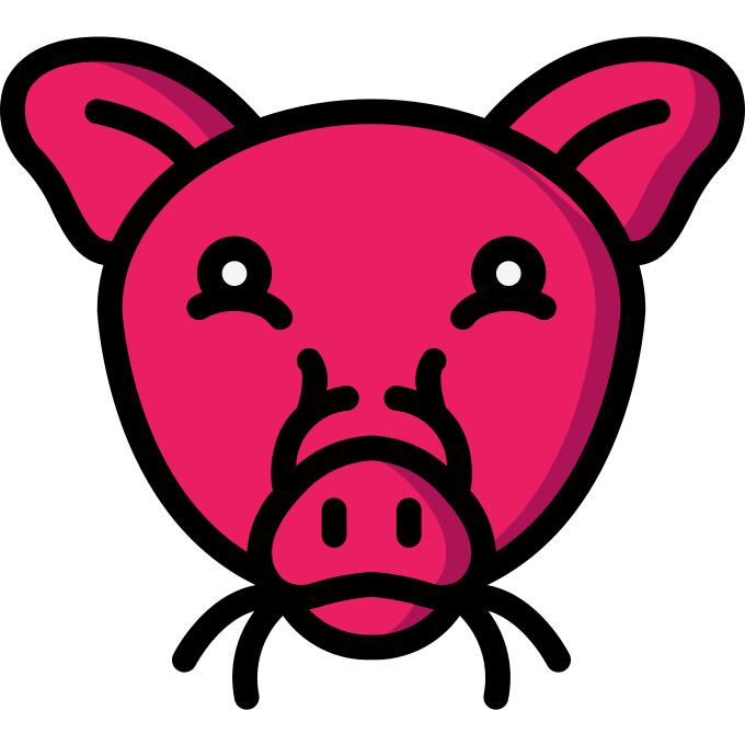 Pig