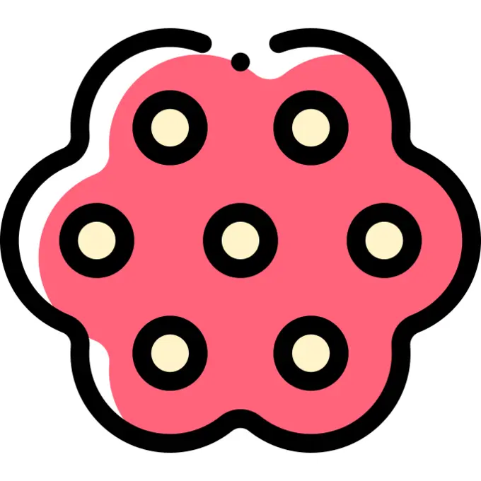 Candy