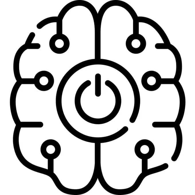 Robotic brain