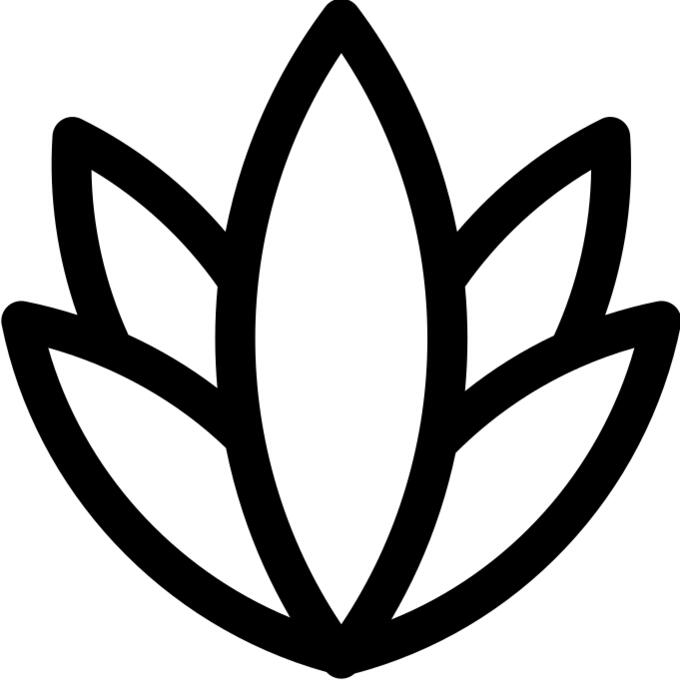 龙舌兰