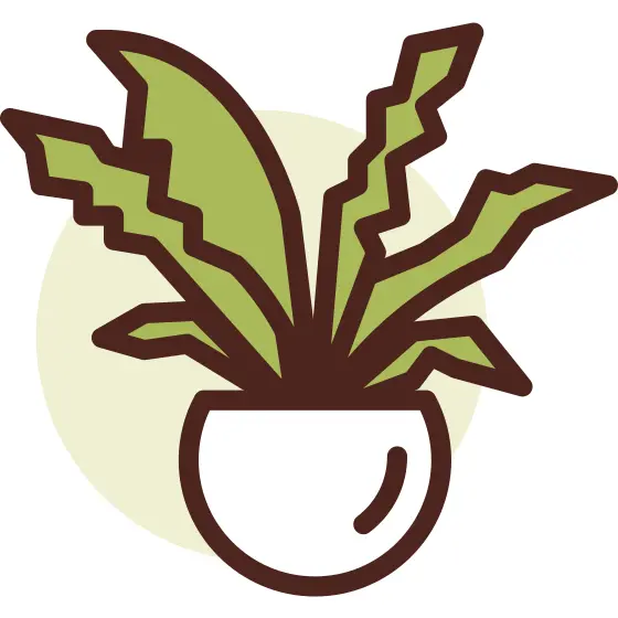 Botanic