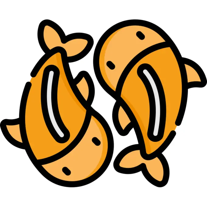 锦鲤