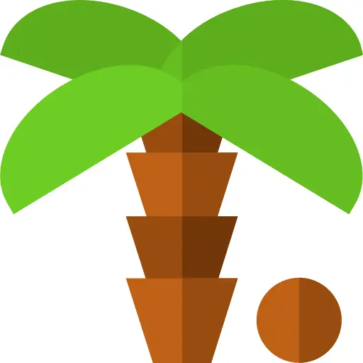 棕榈树