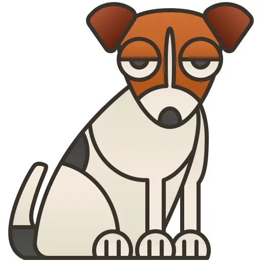 杰克罗素梗犬