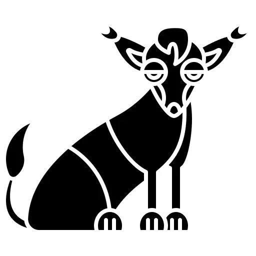 Viringo