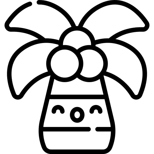 棕榈树