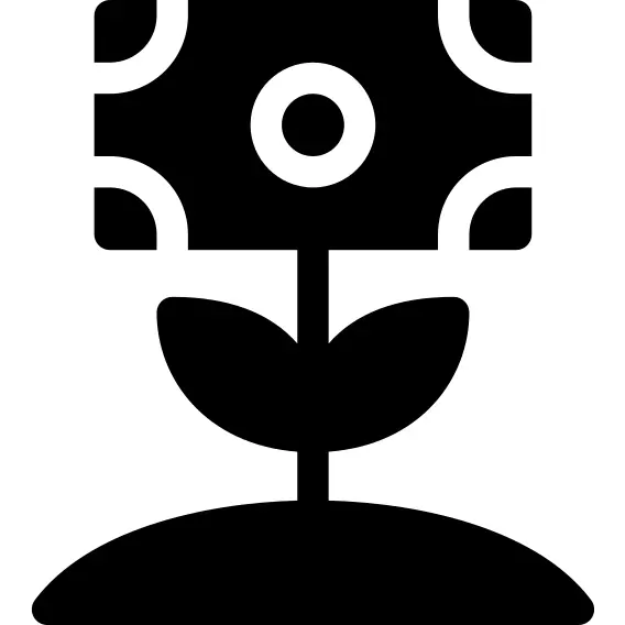 投资