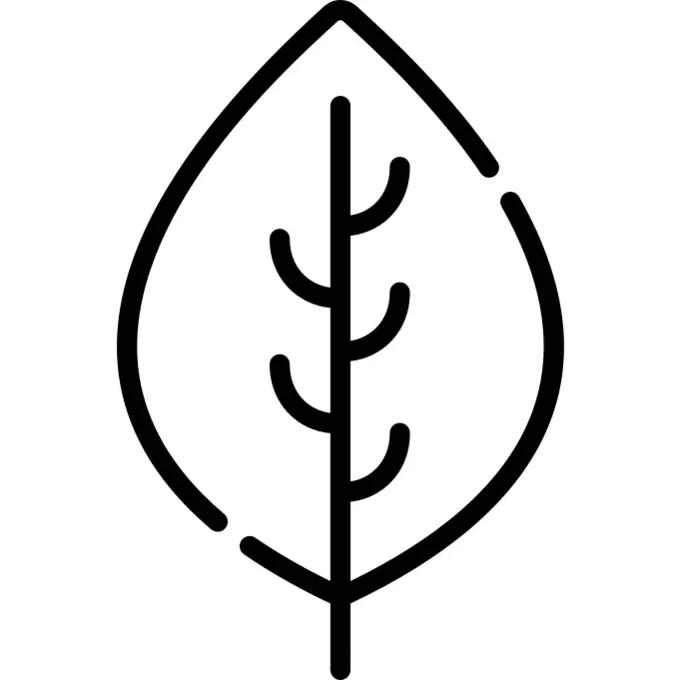 Leaf