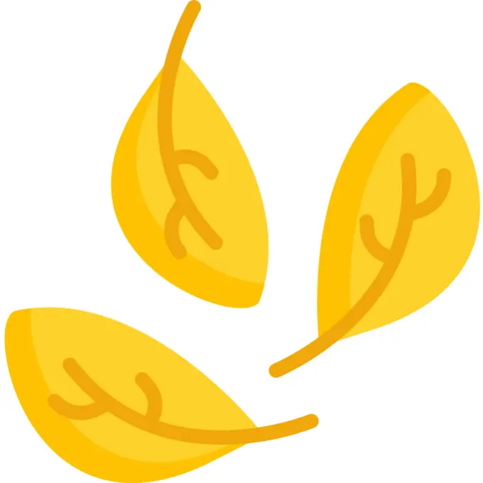 Leaves
