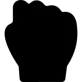 Fist