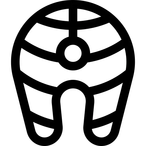 三文鱼