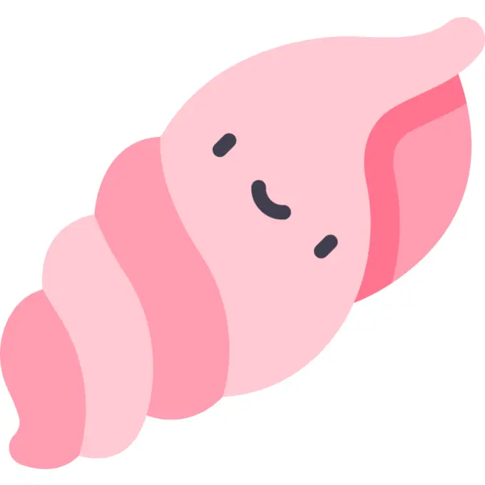 贝壳