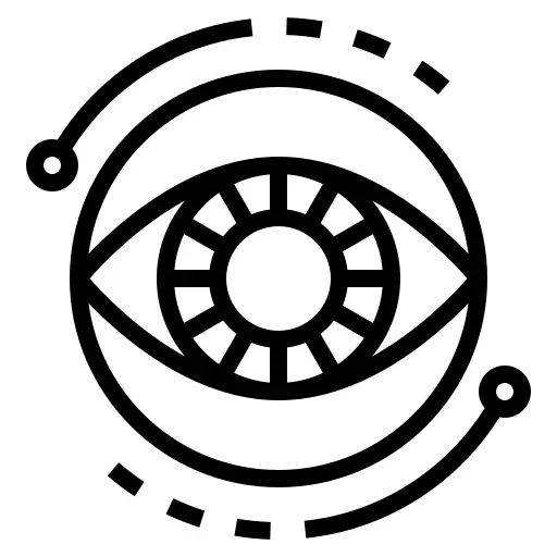 Vision