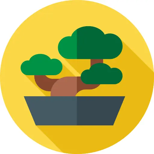 Bonsai