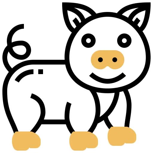 猪
