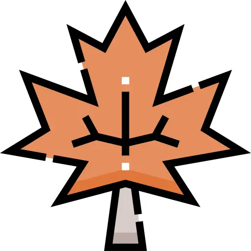 Maple