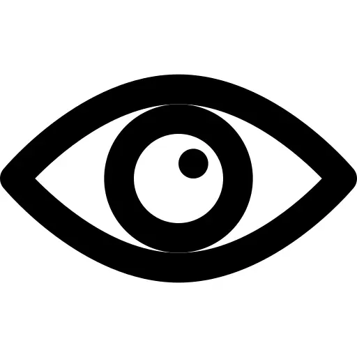 眼睛