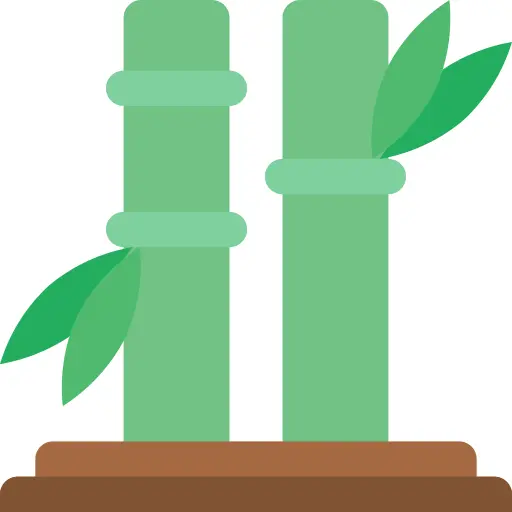 Bamboo