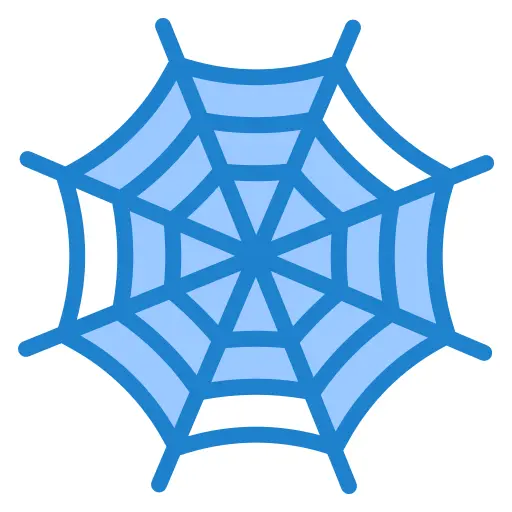 Spider web