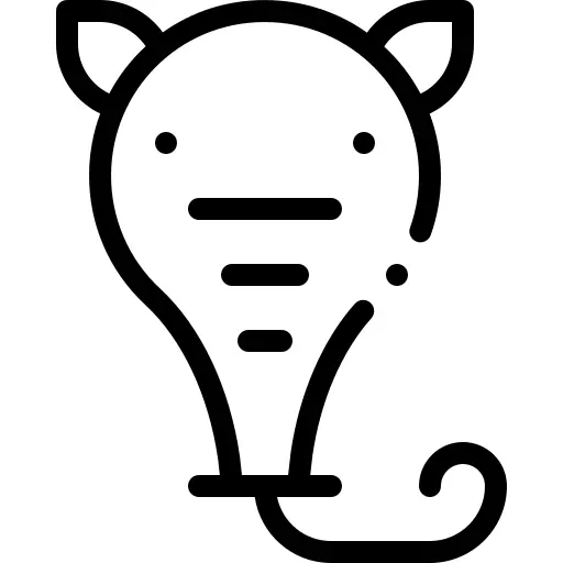 食蚁兽