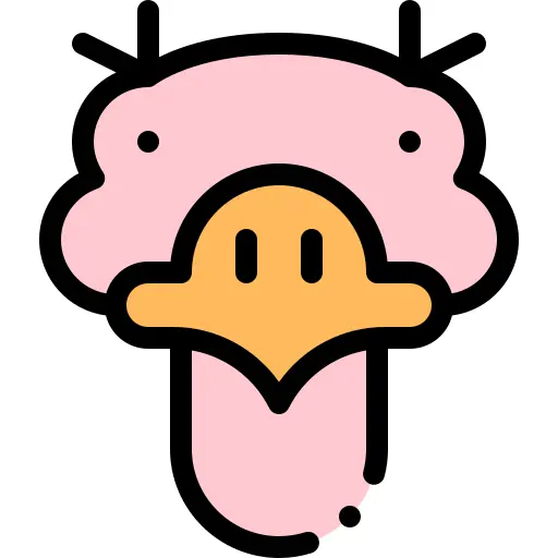 Ostrich