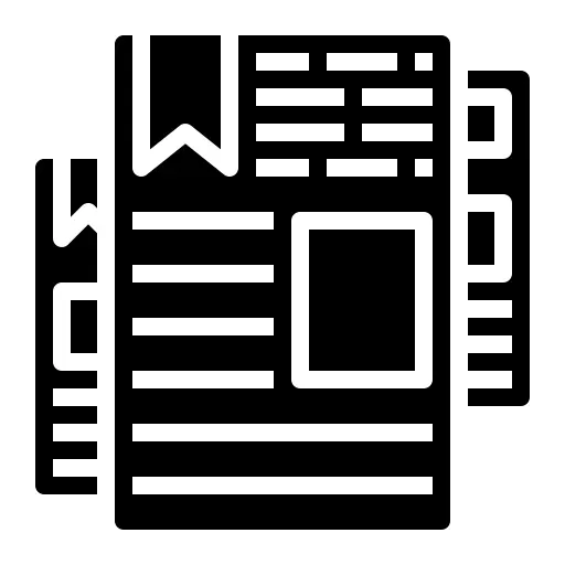 报告