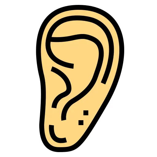 Ear