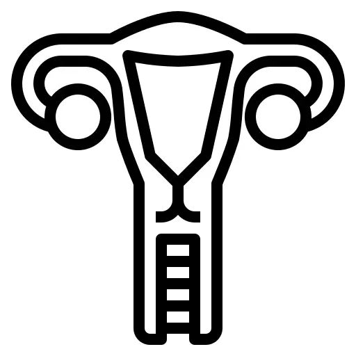 Uterus