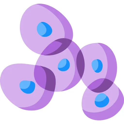 Cells