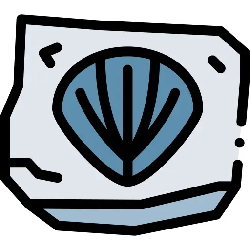 Fossil