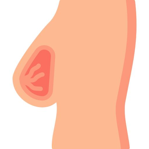 乳房