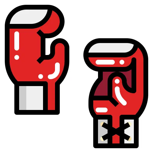 Boxing gloves