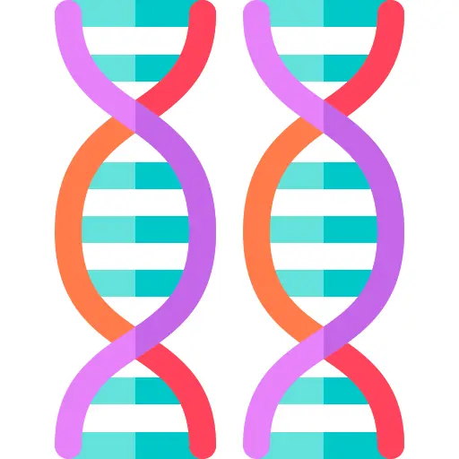 Dna