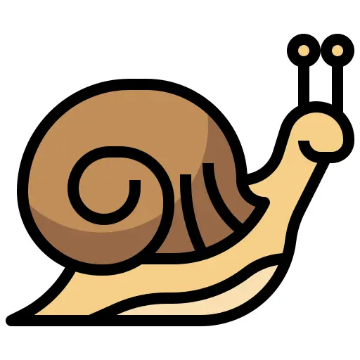 Snail