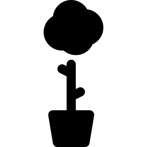 Shrub