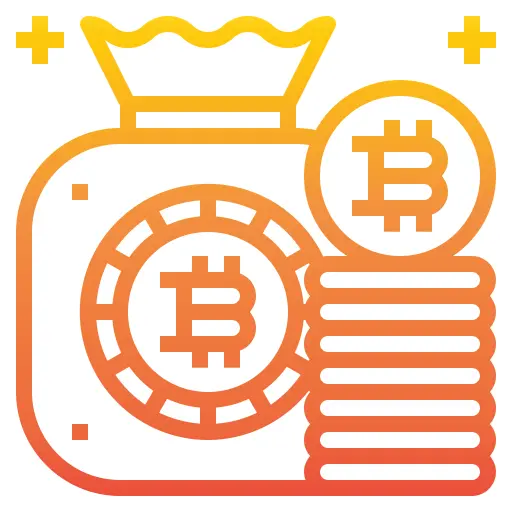 Bitcoin bag