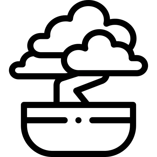 Bonsai
