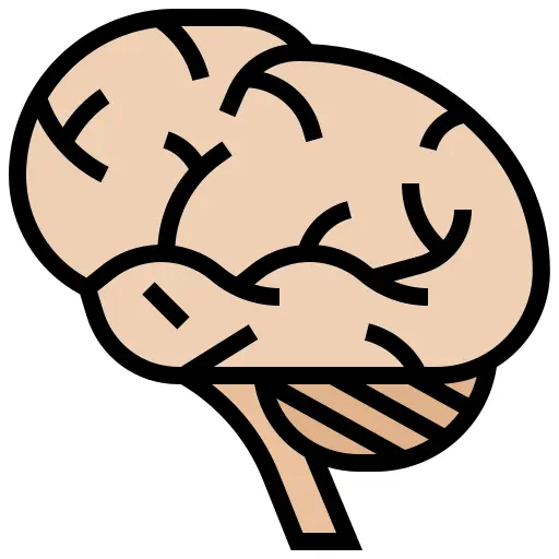 Brains