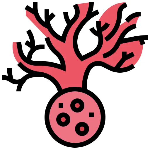 Blood cell
