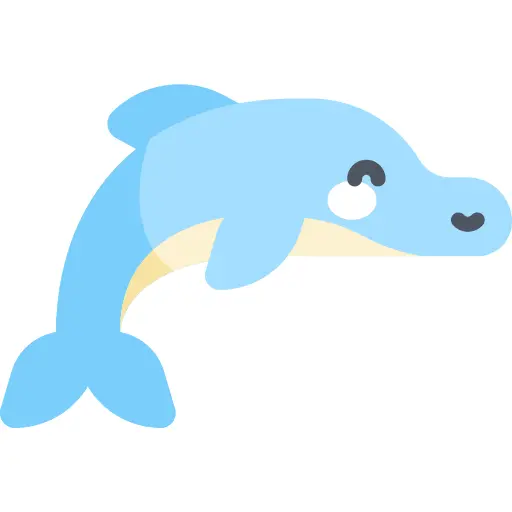 Dolphin