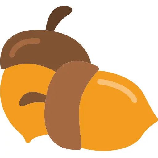 Acorn