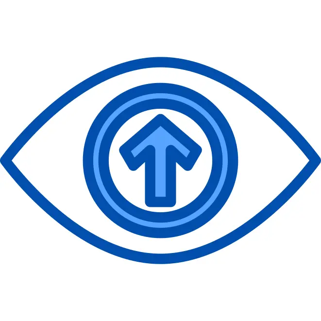 Vision
